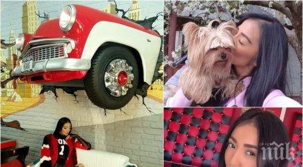 ани хоанг изолира елин пелин