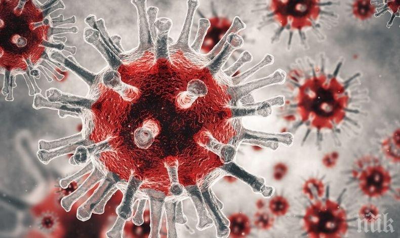 106-годишна французойка се излекува от коронавируса