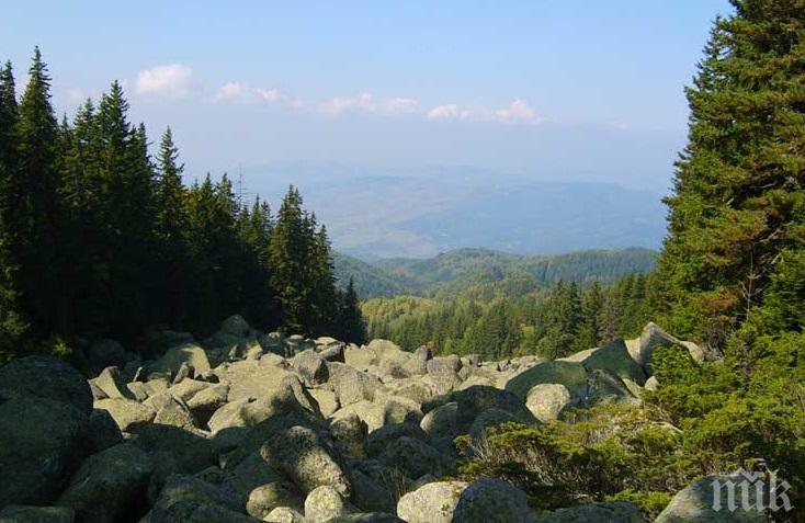 Публикуваха за обществено обсъждане актуализирания План за управление на Природен парк „Витоша“