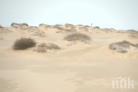 Дюните зад ивицата ще се регистрират като част от плажа