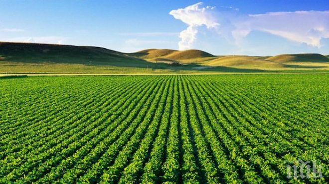 Само 112 британци мераклии да работят на полето, Лондон отново опря до България и Румъния