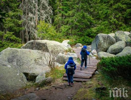 Изследване на Харвард: Само пет часа ходене седмично намаляват риска от рак