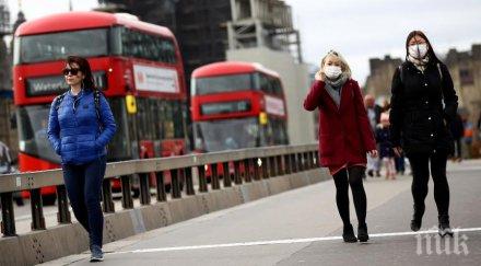 таймс реалният брой жертвите covid великобритания двойно голям 700