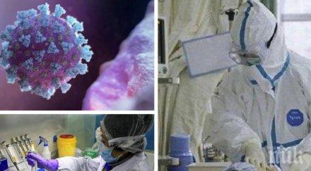 първо пик горещи данни заразените коронавирус нас новите случаи почти всички видин жертвите продължават растат вече