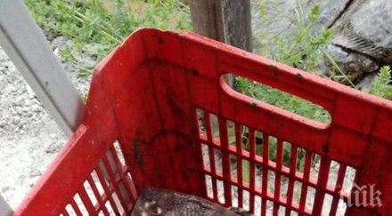 иззеха 170 незаконно уловен калкан дуранкулак шабла снимки