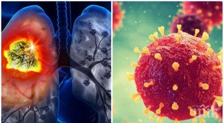 стига covid експерти предупреждават туберкулозата завръща