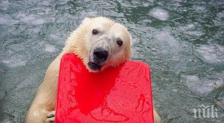 жени питате дадете втори шанс