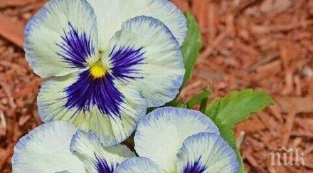 звездите говорят денят носи енергии правете секс сте уморени