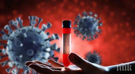 катастрофи света заради коронавируса