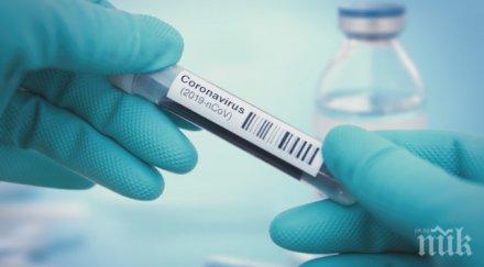 излекуваха петима заразените covid област велико търново