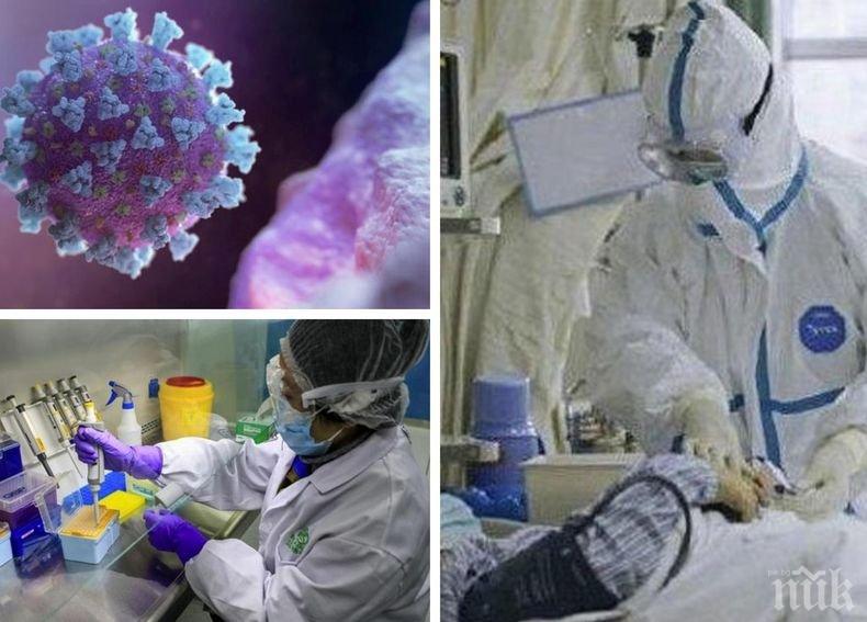 ПЪРВО В ПИК! Горещи данни за заразените с коронавирус у нас - новите случаи са 20, почти всички са във Видин. Жертвите продължават да растат, вече са 78