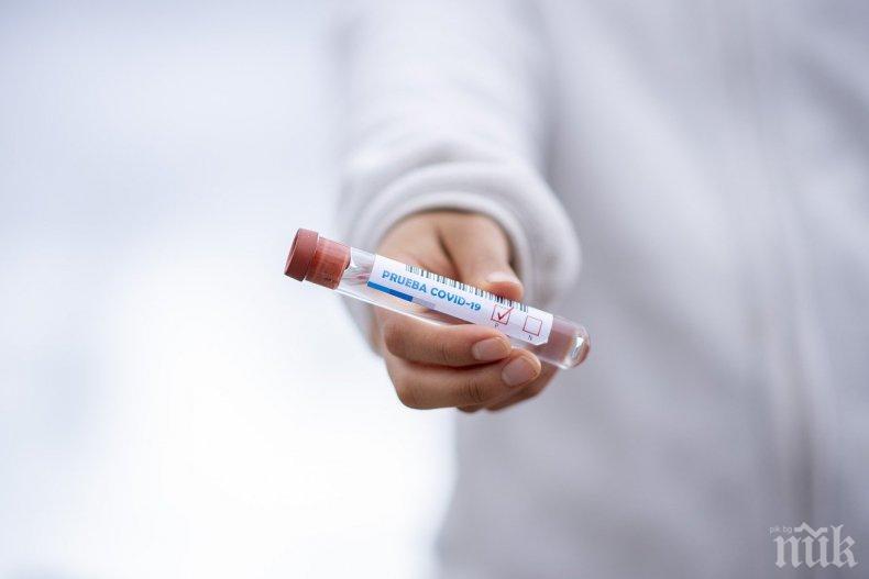Нидерландия ще започне да смекчава мерките заради коронавируса от другата седмица