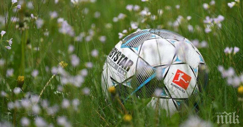 От Германската футболна лига обявиха: Мачовете в Бундеслигата се подновяват от...

 