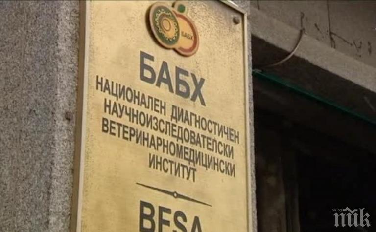 БАБХ не допусна внос на над 81 тона храни и продукти от трети страни през април