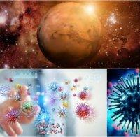 НЕВЕРОЯТНО: Учени бият тревога за извънземни вируси 