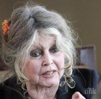 Съдят Бриджит Бардо за расизъм