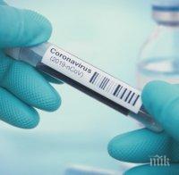 178 нови смъртни случая от COVID-19 във Франция