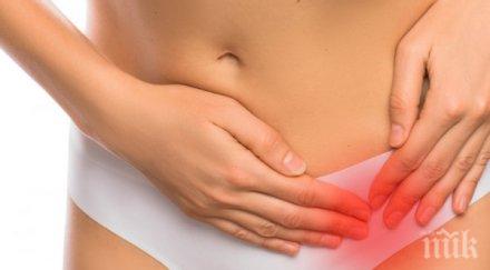 всяка година диагностицират 800 българки рак яйчниците