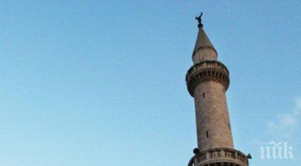 джамиите иран отварят врати