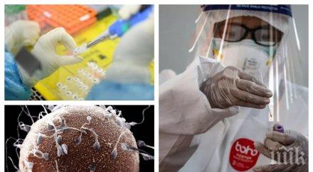 смразяващо откритие китайски учени коронавирусът предава полов път задържа дълго тестисите