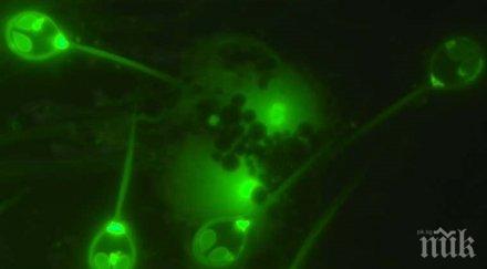 невероятно откриха животно диша кислород