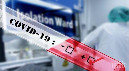 звезда мма коронавирус навечерието ufc 249