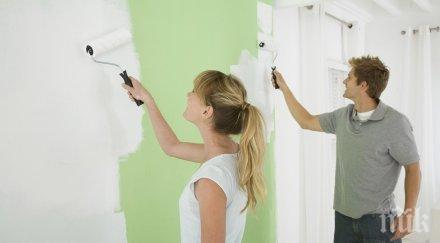 внимание опасните цветове дома