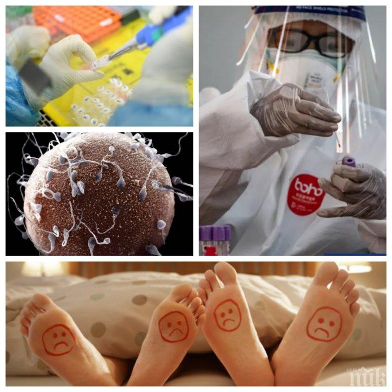 СМРАЗЯВАЩО ОТКРИТИЕ! Китайски учени: Коронавирусът се предава и по полов път, задържа се дълго в тестисите