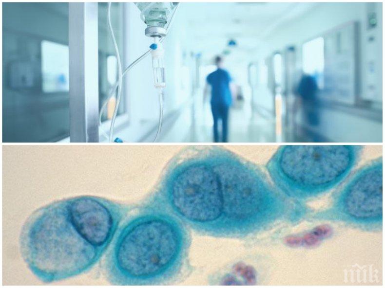 ИМА НАДЕЖДА! СЗО: Коронавирусът е победим. Свидетелство за това е...