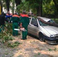 Пиян шофьор помля пет паркирани коли в Пловдив