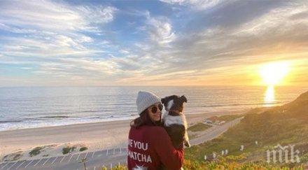 нина добрев изненада разкритие добрия приятел снимки