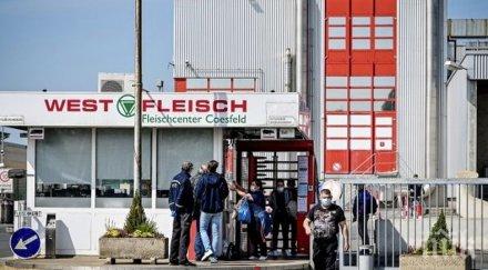 мерки германия тестват covid кланиците работят българи