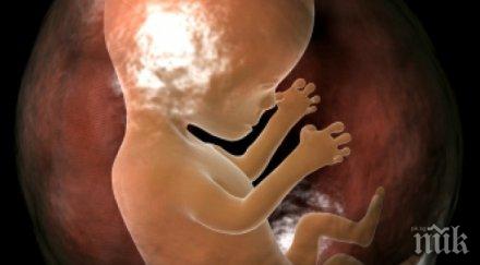 1111 аборта направили софиянки близо три месеца