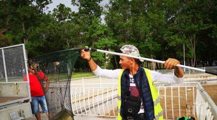 сигнал пик забравеният протестър асен генов излъга спасил рибите северния парк