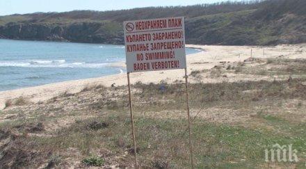 търсят концесионери плажовете поморие обзор мотела