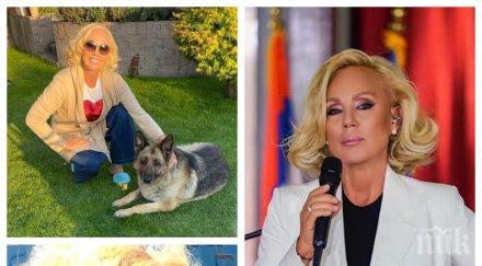 неузнаваема лепа брена свали килограма сръбската фолк икона извая фигура модел снимки