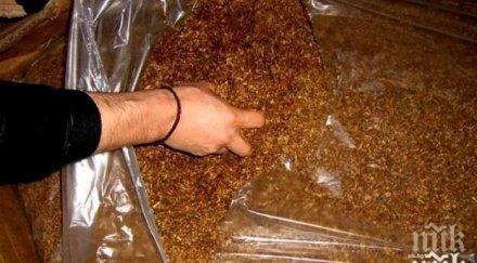 кила нередовен тютюн спипаха къща шекер махала