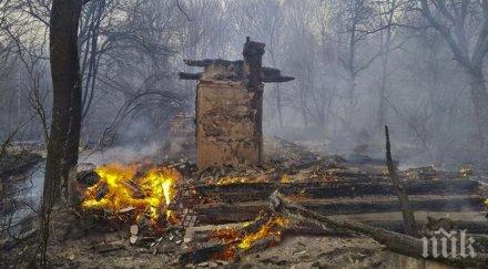 добра новина горските пожари около чернобил напълно ликвидирани
