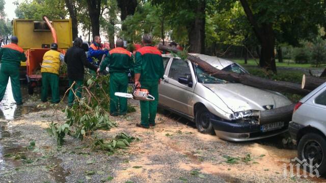 Пиян шофьор помля пет паркирани коли в Пловдив