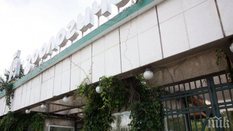 Зоопаркът в София отваря врати от утре