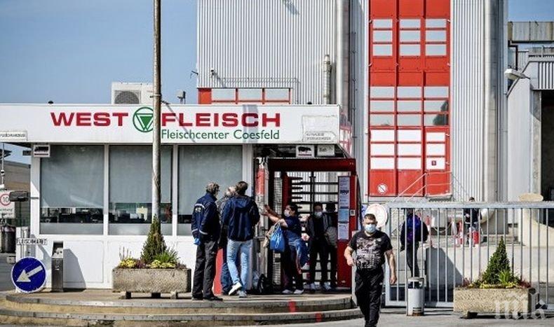 Мерки: В Германия ще тестват за COVID-19 в кланиците, в които работят и българи