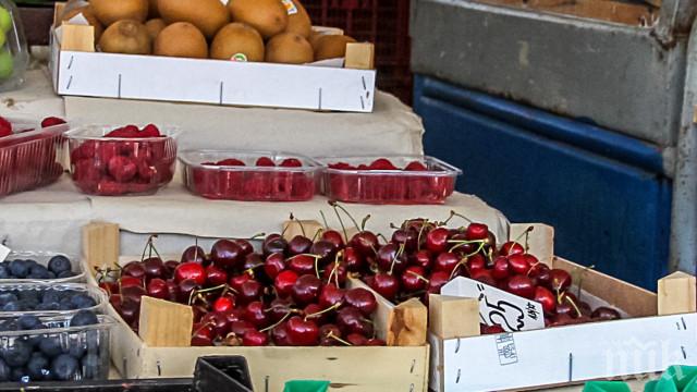 Първите родни череши вече са на пазара, цената им - 25 кинта за кило