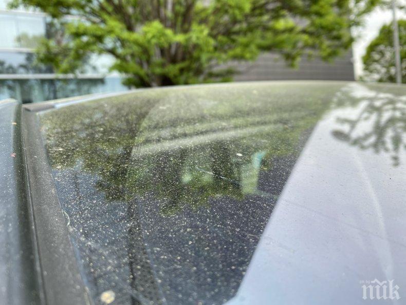 Африкански прах засипа Европа и България