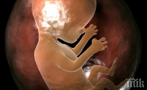 1111 аборта са направили софиянки за близо три месеца