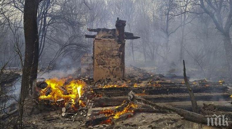 Добра новина: Горските пожари около Чернобил са напълно ликвидирани