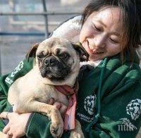 Спасиха от клане 70 кучета, отглеждани за ядене (СНИМКИ)