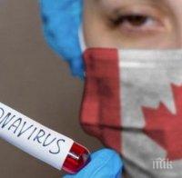 Броят на заразените с коронавируса в Канада достигна 78 072 души