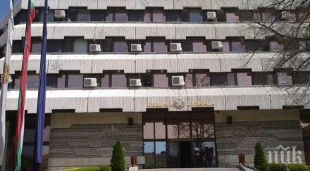 община дупница търси директор детска градина конкурс