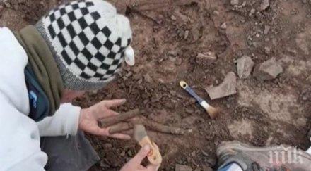 откриха останки милиона години мегараптор аржентина
