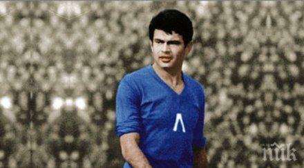 обидно паметта гунди